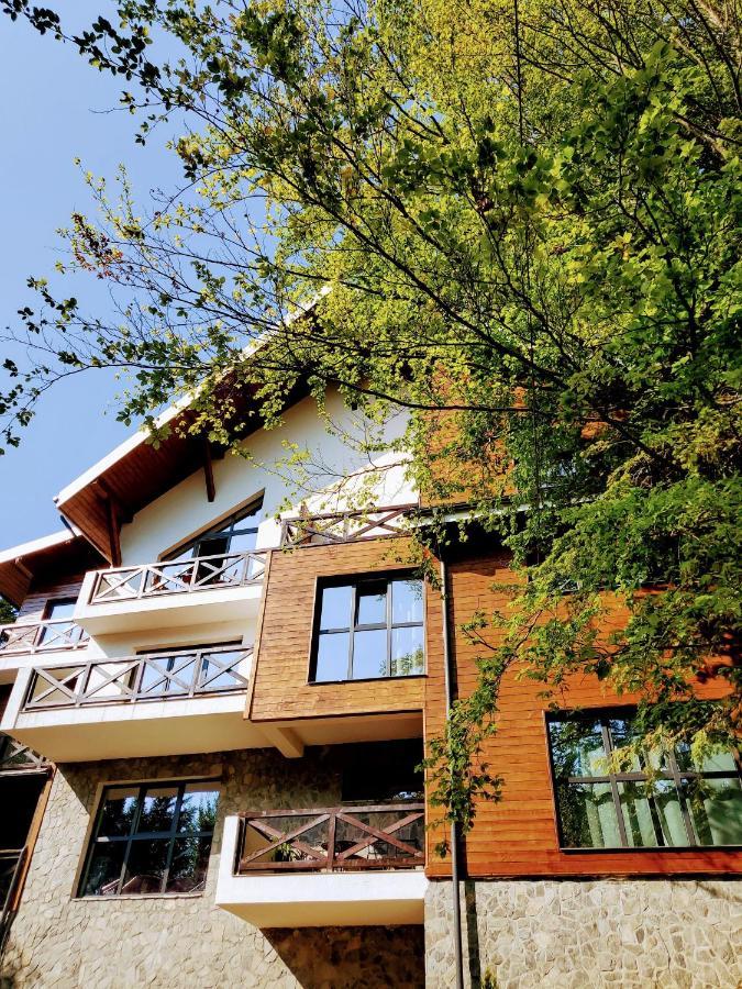 Casa Larisa Antonia Apartments Sinaia Esterno foto