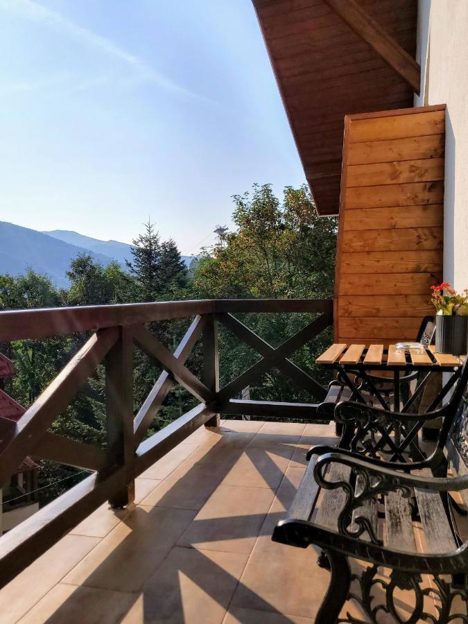 Casa Larisa Antonia Apartments Sinaia Esterno foto