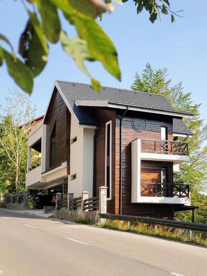 Casa Larisa Antonia Apartments Sinaia Esterno foto