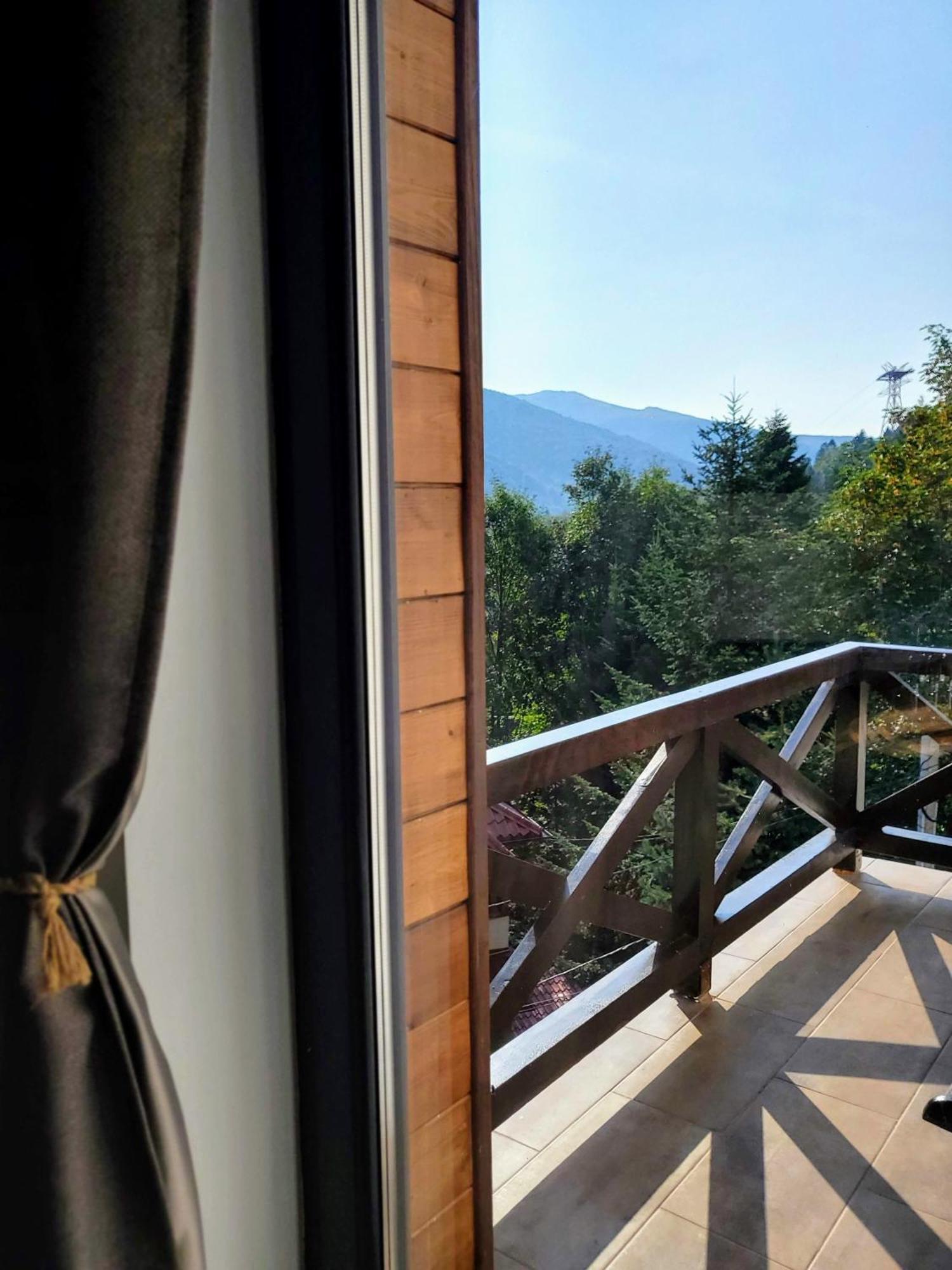Casa Larisa Antonia Apartments Sinaia Esterno foto